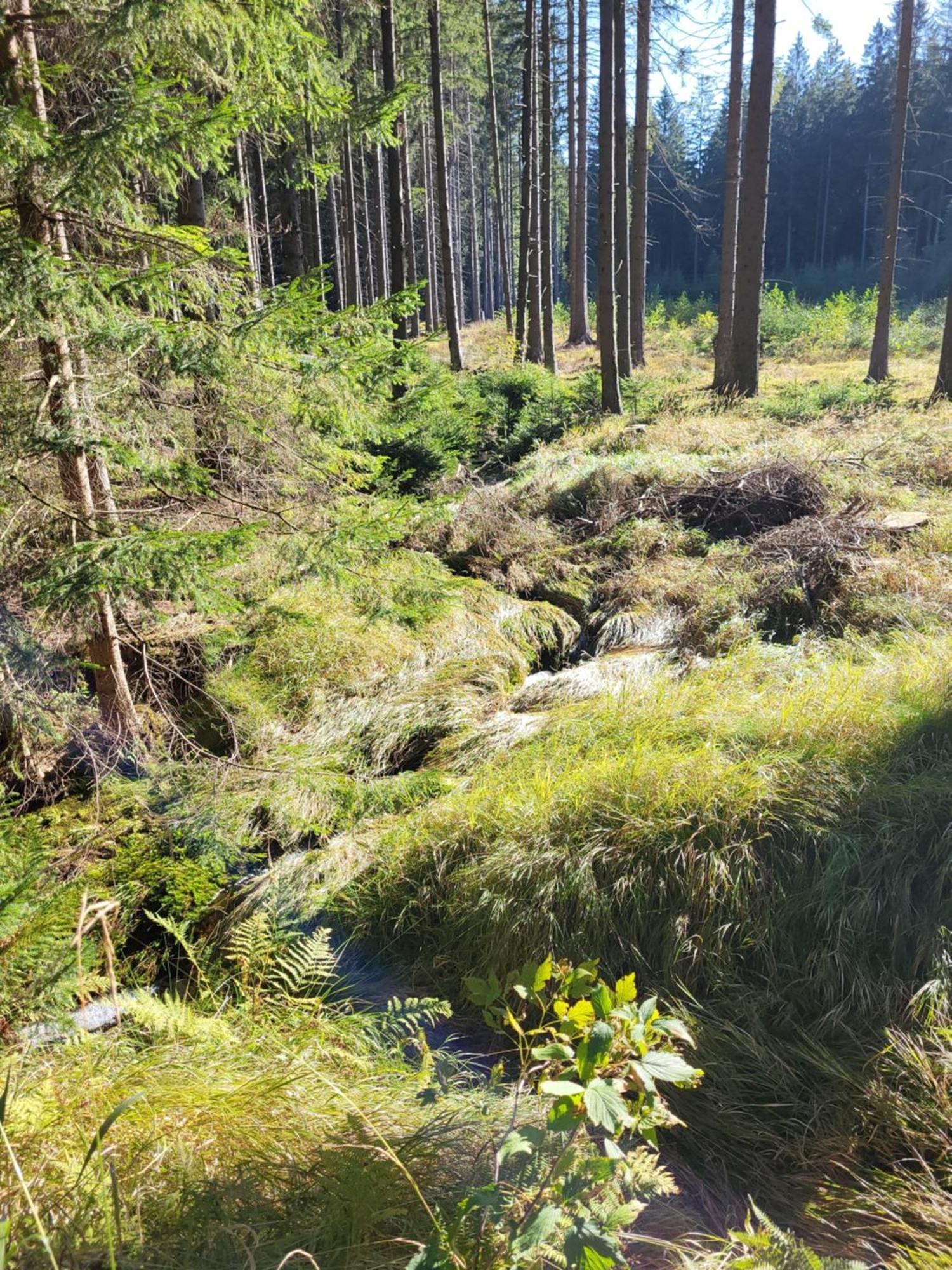 Ferienwohnung Chaticka Na Cikance Svratka Exterior foto